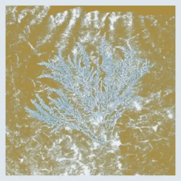 Huerco S. - Kraanvogel